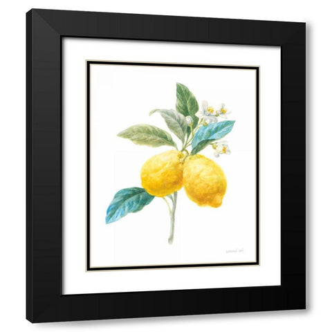 Floursack Lemon IV on White Black Modern Wood Framed Art Print with Double Matting by Nai, Danhui