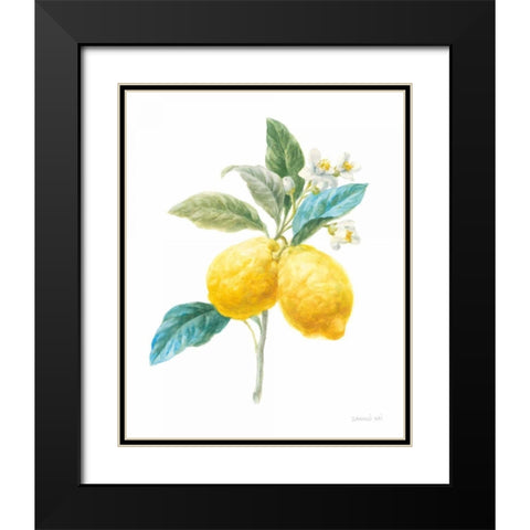 Floursack Lemon IV on White Black Modern Wood Framed Art Print with Double Matting by Nai, Danhui