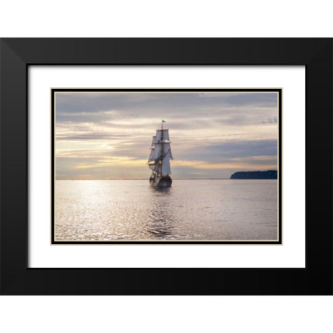 Lady Washington III Black Modern Wood Framed Art Print with Double Matting by Majchrowicz, Alan