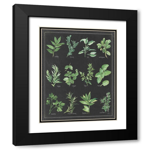 Herb Chart on Black White Border Black Modern Wood Framed Art Print with Double Matting by Paschke, Chris
