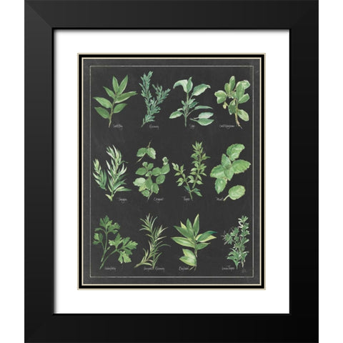 Herb Chart on Black White Border Black Modern Wood Framed Art Print with Double Matting by Paschke, Chris