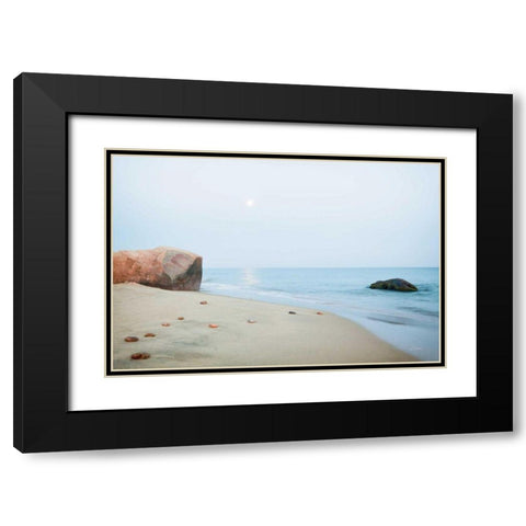 Coastal Rocks Black Modern Wood Framed Art Print with Double Matting by Aledanda