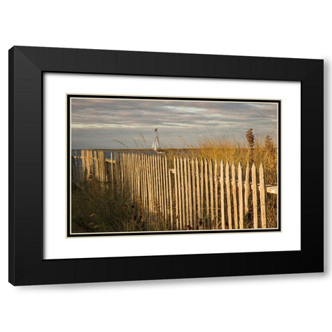 Along the Fence I Black Modern Wood Framed Art Print with Double Matting by Aledanda