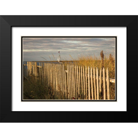 Along the Fence I Black Modern Wood Framed Art Print with Double Matting by Aledanda