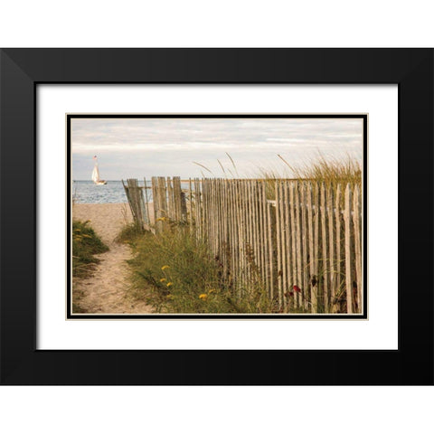 Along the Fence II Black Modern Wood Framed Art Print with Double Matting by Aledanda