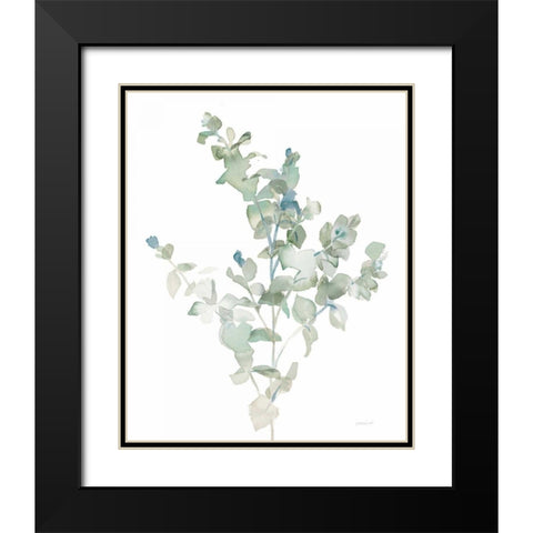 Eucalyptus II Cool Black Modern Wood Framed Art Print with Double Matting by Nai, Danhui