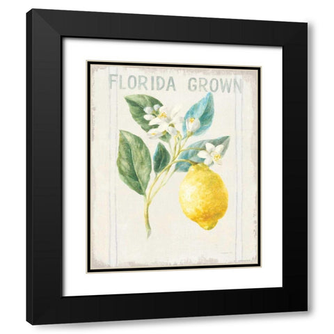 Floursack Lemon I v2 Black Modern Wood Framed Art Print with Double Matting by Nai, Danhui