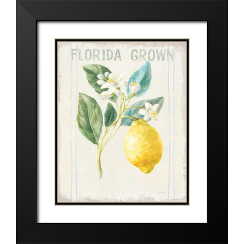 Floursack Lemon I v2 Black Modern Wood Framed Art Print with Double Matting by Nai, Danhui