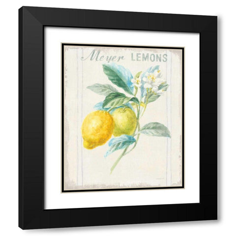 Floursack Lemon II v2 Black Modern Wood Framed Art Print with Double Matting by Nai, Danhui