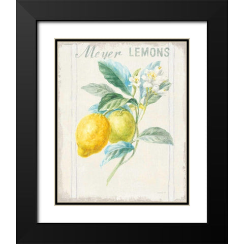 Floursack Lemon II v2 Black Modern Wood Framed Art Print with Double Matting by Nai, Danhui