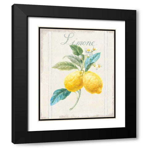 Floursack Lemon III v2 Black Modern Wood Framed Art Print with Double Matting by Nai, Danhui