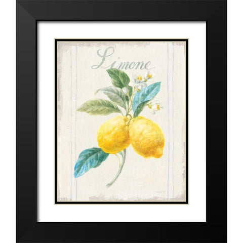 Floursack Lemon III v2 Black Modern Wood Framed Art Print with Double Matting by Nai, Danhui