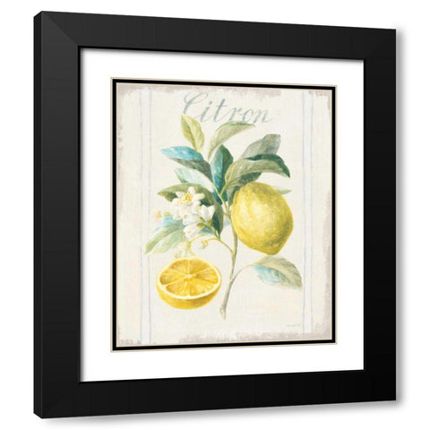 Floursack Lemon IV v2 Black Modern Wood Framed Art Print with Double Matting by Nai, Danhui