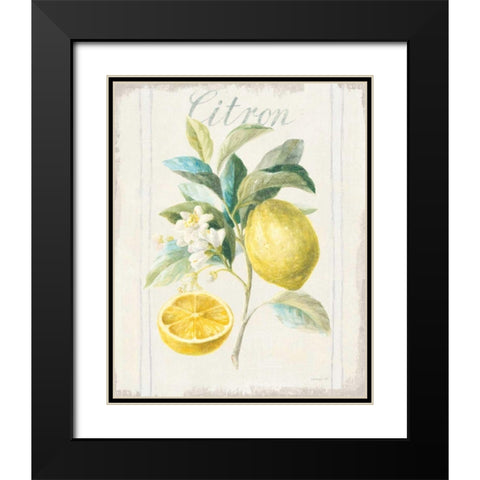 Floursack Lemon IV v2 Black Modern Wood Framed Art Print with Double Matting by Nai, Danhui