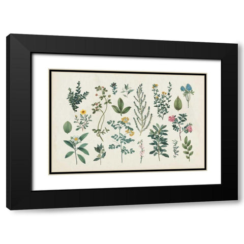 Victorian Garden III Black Modern Wood Framed Art Print with Double Matting by Wild Apple Portfolio