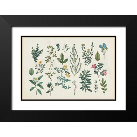 Victorian Garden III Black Modern Wood Framed Art Print with Double Matting by Wild Apple Portfolio