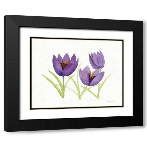 Easter Blessing Flowers VII Black Modern Wood Framed Art Print with Double Matting by McKenna, Kathleen Parr
