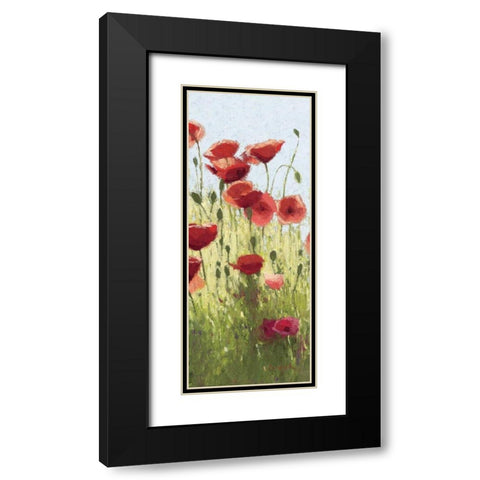 Mountain Poppies I - Wag Black Modern Wood Framed Art Print with Double Matting by Novak, Shirley