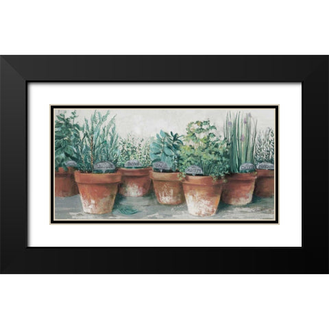 Pots of Herbs II Cottage Black Modern Wood Framed Art Print with Double Matting by Rowan, Carol
