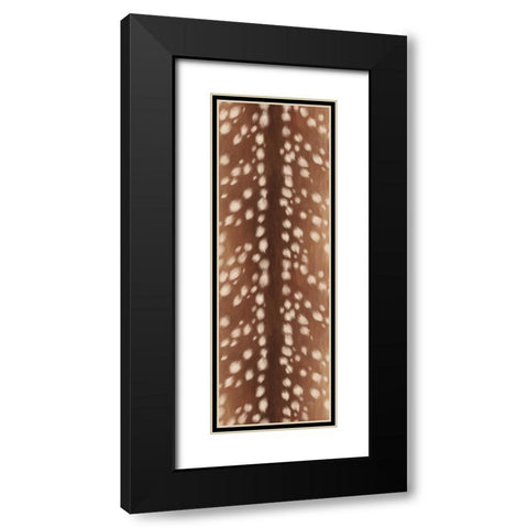 Sweet Fawn II Black Modern Wood Framed Art Print with Double Matting by Penner, Janelle