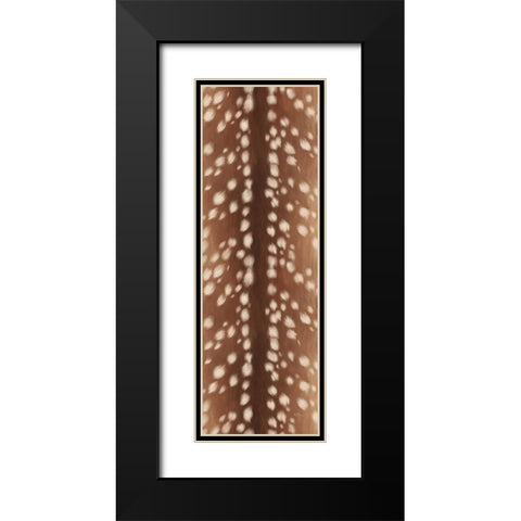 Sweet Fawn II Black Modern Wood Framed Art Print with Double Matting by Penner, Janelle