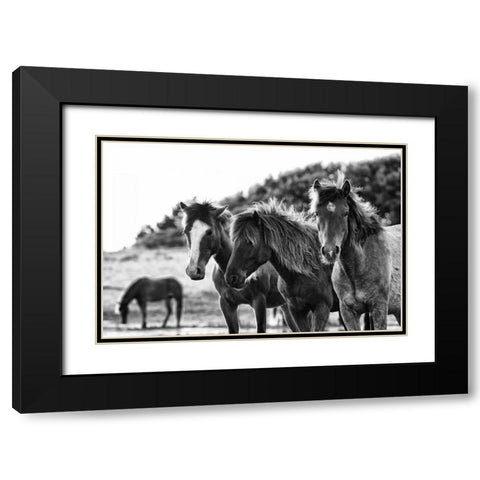 Horses Three Black Modern Wood Framed Art Print with Double Matting by Aledanda
