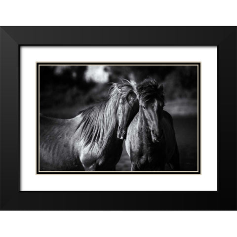 Buddies Black Modern Wood Framed Art Print with Double Matting by Aledanda