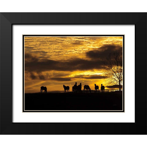 Horses at Sunset Black Modern Wood Framed Art Print with Double Matting by Aledanda