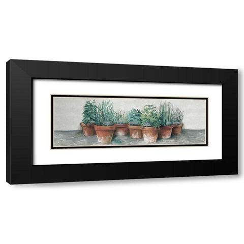 Pots of Herbs II Cottage v2 Black Modern Wood Framed Art Print with Double Matting by Rowan, Carol