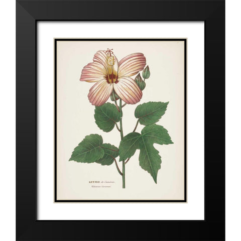 Antique Botanical XXVII Cream Black Modern Wood Framed Art Print with Double Matting by Wild Apple Portfolio