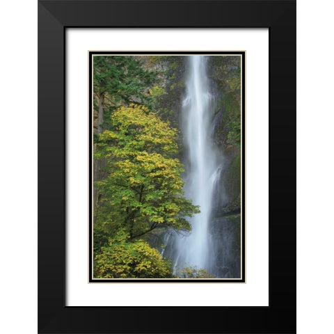 Multnomah Falls color Black Modern Wood Framed Art Print with Double Matting by Majchrowicz, Alan