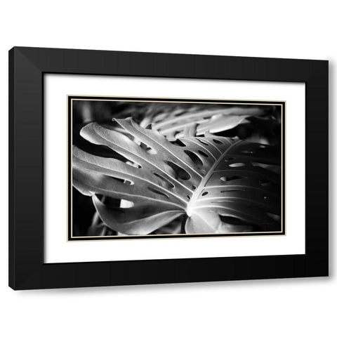 Philodendron Black Modern Wood Framed Art Print with Double Matting by Marshall, Laura