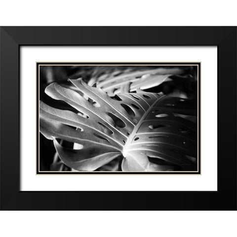 Philodendron Black Modern Wood Framed Art Print with Double Matting by Marshall, Laura