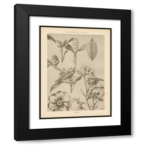 Lithograph Florals II Black Modern Wood Framed Art Print with Double Matting by Wild Apple Portfolio