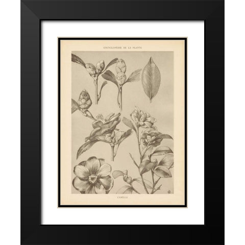 Lithograph Florals II Black Modern Wood Framed Art Print with Double Matting by Wild Apple Portfolio