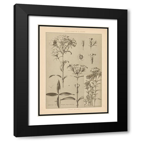 Lithograph Florals III Black Modern Wood Framed Art Print with Double Matting by Wild Apple Portfolio