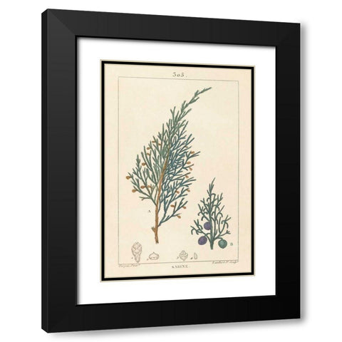 Sabine Drawing Black Modern Wood Framed Art Print with Double Matting by Wild Apple Portfolio