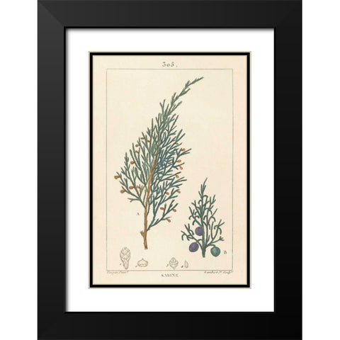 Sabine Drawing Black Modern Wood Framed Art Print with Double Matting by Wild Apple Portfolio