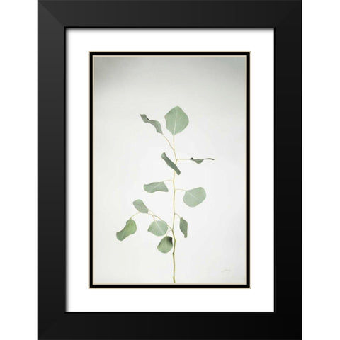 Simple Stems I Black Modern Wood Framed Art Print with Double Matting by Bradley, Felicity
