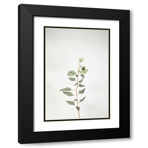 Simple Stems II Black Modern Wood Framed Art Print with Double Matting by Bradley, Felicity