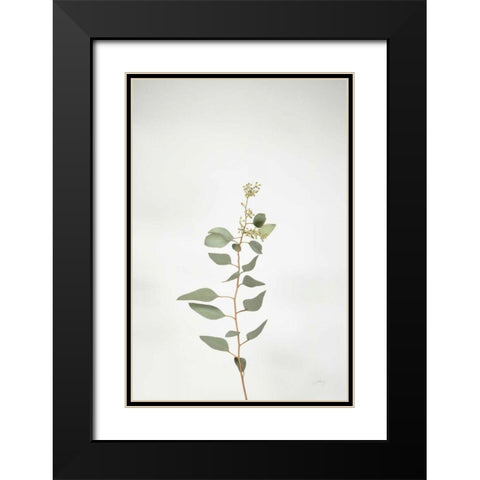 Simple Stems II Black Modern Wood Framed Art Print with Double Matting by Bradley, Felicity