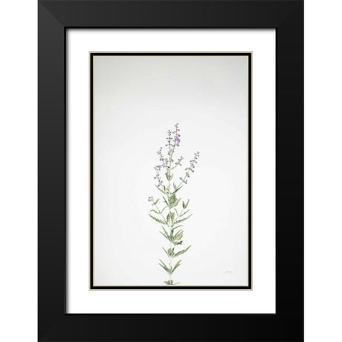Simple Stems III Black Modern Wood Framed Art Print with Double Matting by Bradley, Felicity