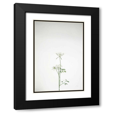 Simple Stems VI Black Modern Wood Framed Art Print with Double Matting by Bradley, Felicity