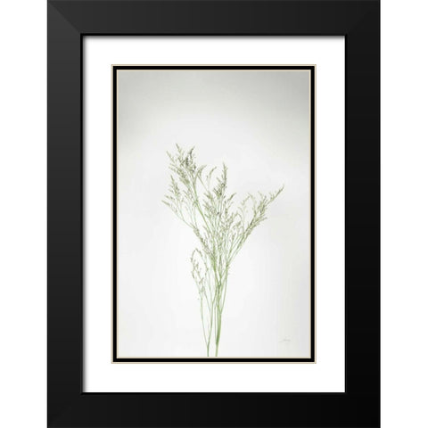 Simple Stems VII Black Modern Wood Framed Art Print with Double Matting by Bradley, Felicity