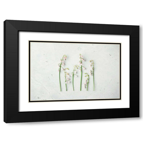 May Bell Blooms Black Modern Wood Framed Art Print with Double Matting by Bradley, Felicity
