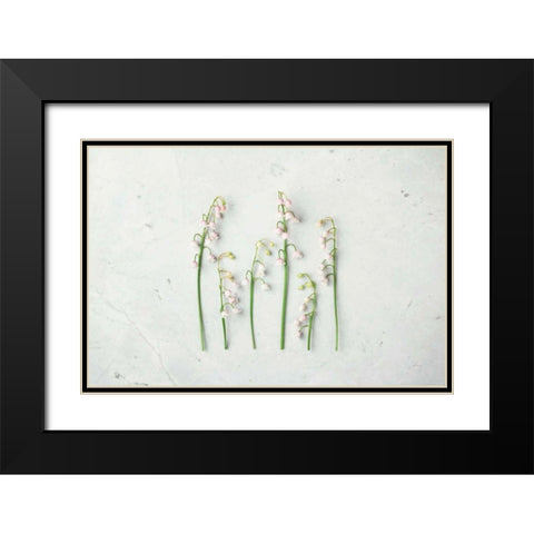 May Bell Blooms Black Modern Wood Framed Art Print with Double Matting by Bradley, Felicity