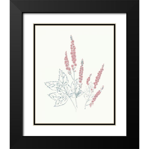 Flowers on White VII Contemporary Bright Black Modern Wood Framed Art Print with Double Matting by Wild Apple Portfolio
