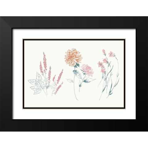 Flowers on White VIII Contemporary Bright Black Modern Wood Framed Art Print with Double Matting by Wild Apple Portfolio
