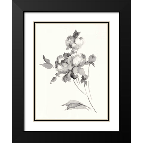 Peony Blossoms Gray Crop Black Modern Wood Framed Art Print with Double Matting by Wild Apple Portfolio