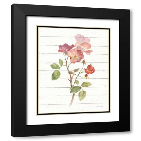 Sprigs of Summer I Black Modern Wood Framed Art Print with Double Matting by Nai, Danhui